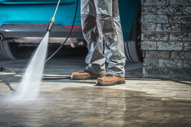 Best Roof Washing  in Carbondale, PA